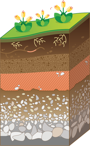 YCIND_240416_6193_soil_and_water_1.png