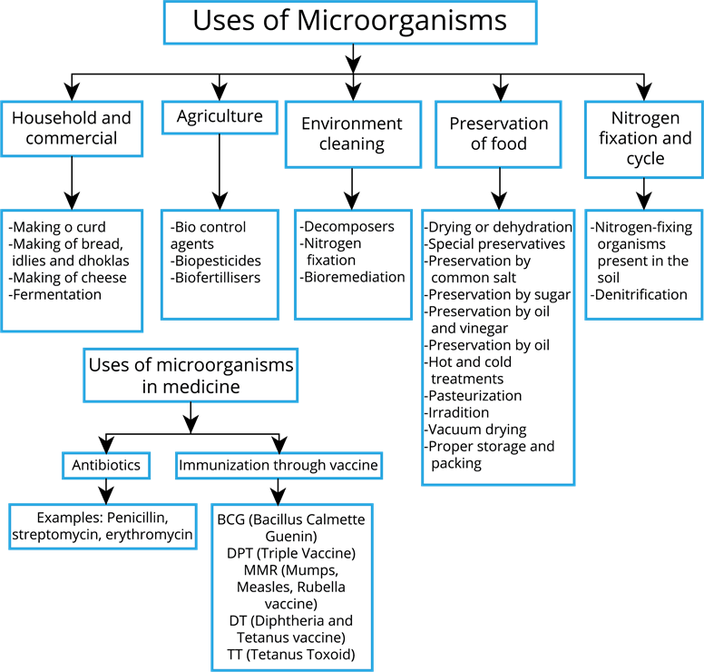Uses of Microorganisms.png