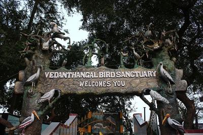 Vedanthangal_bird_sanctuary_Entrance.jpg