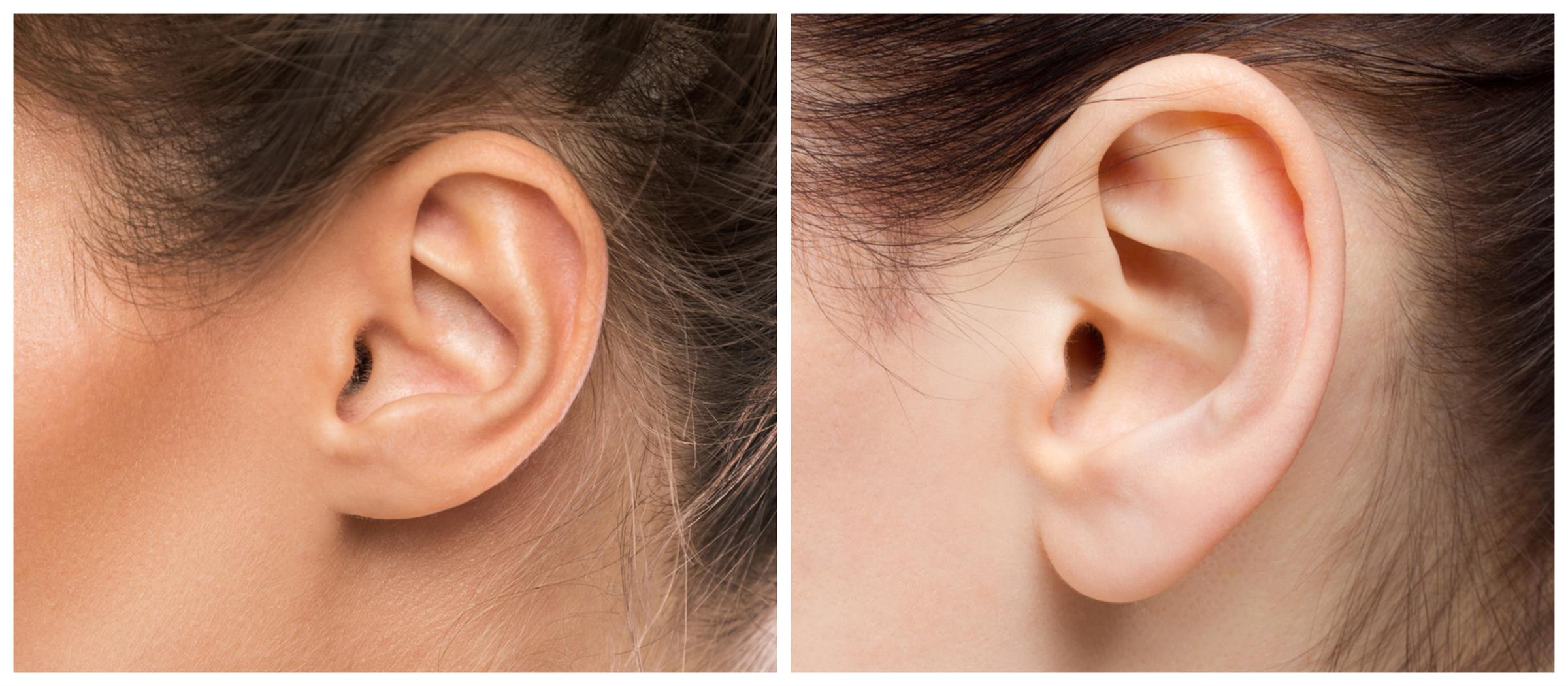 Accumulation of variations during sexual reproduction — lesson. Science