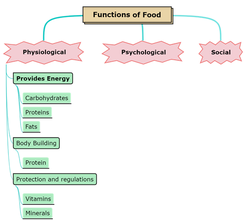 Functions of Food.png
