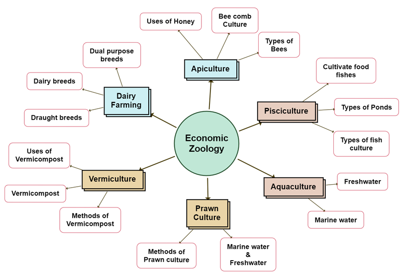 Economic Zoology.png