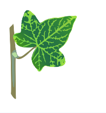 leafyy.PNG