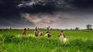 (1)_Agriculture_and_rural_farms_of_India.jpg