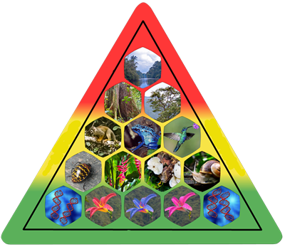 2048px-Elements-of-biodiversity.png