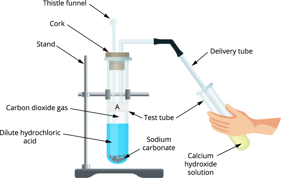 acid carbonate experiment