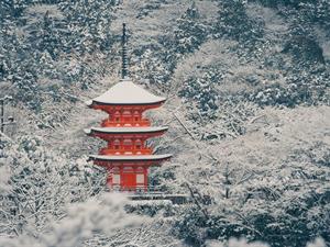 Winter season in Japan.jpg