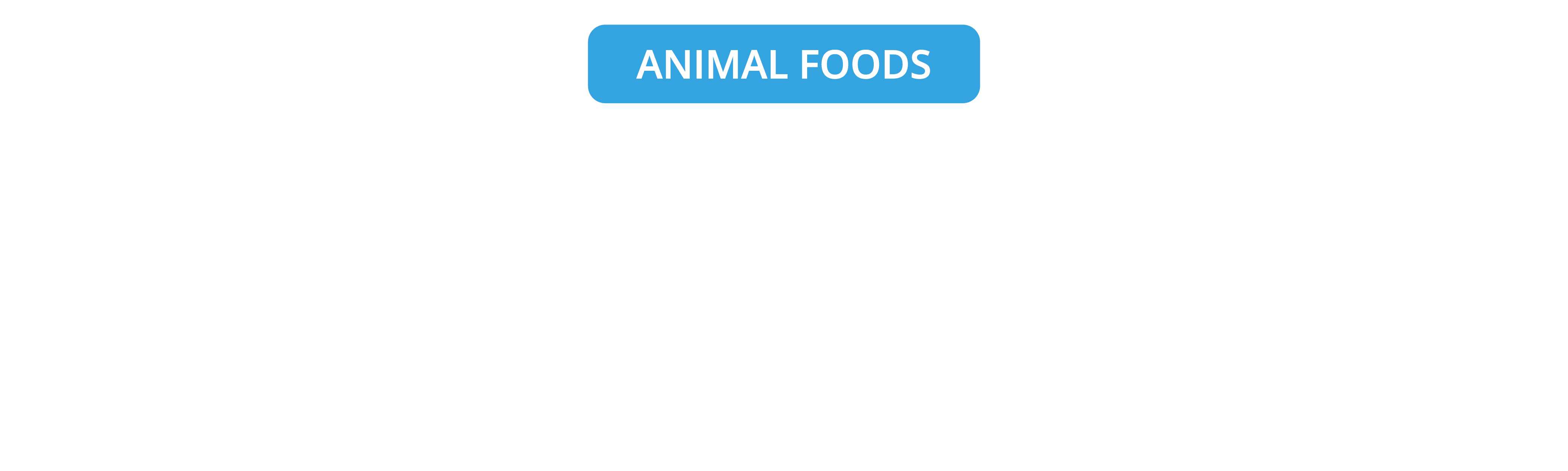 Food obtained from animals — lesson. Science CBSE, Class 6.