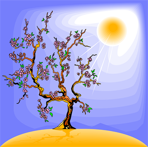 tree-147460_960_720.png