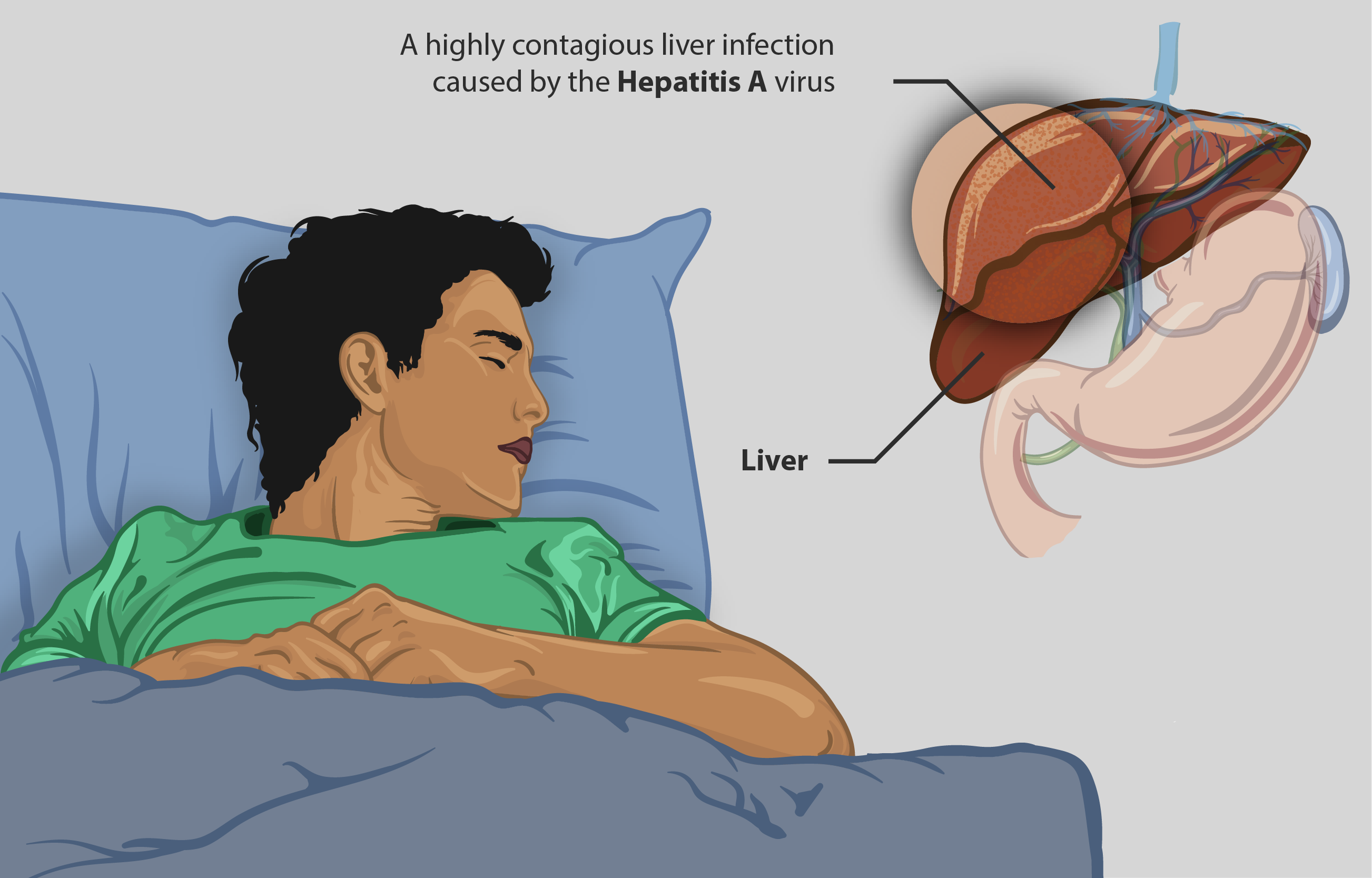 Water borne diseases caused by bacteria and virus — lesson. Science