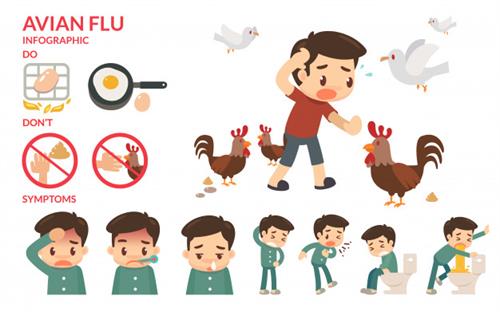 avian-flu-infographic_7891-103 (1).jpg