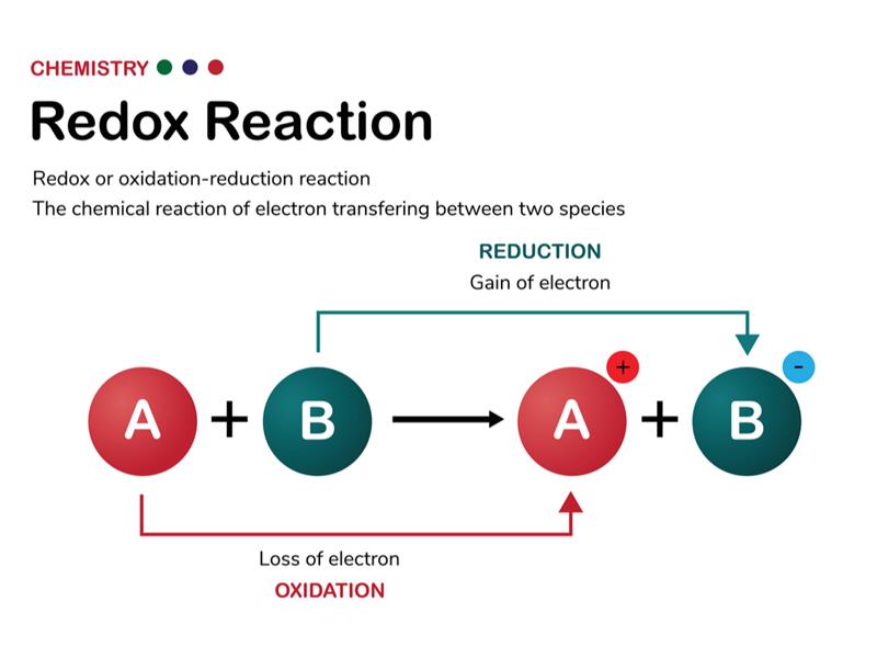 Oxidation and Reduction — lesson. Science CBSE, Class 10.