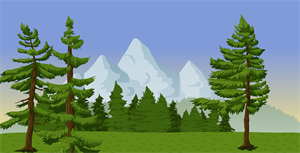 Pine trees.png