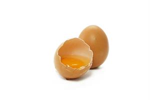 egg-yolk-food-protein-preview.jpg