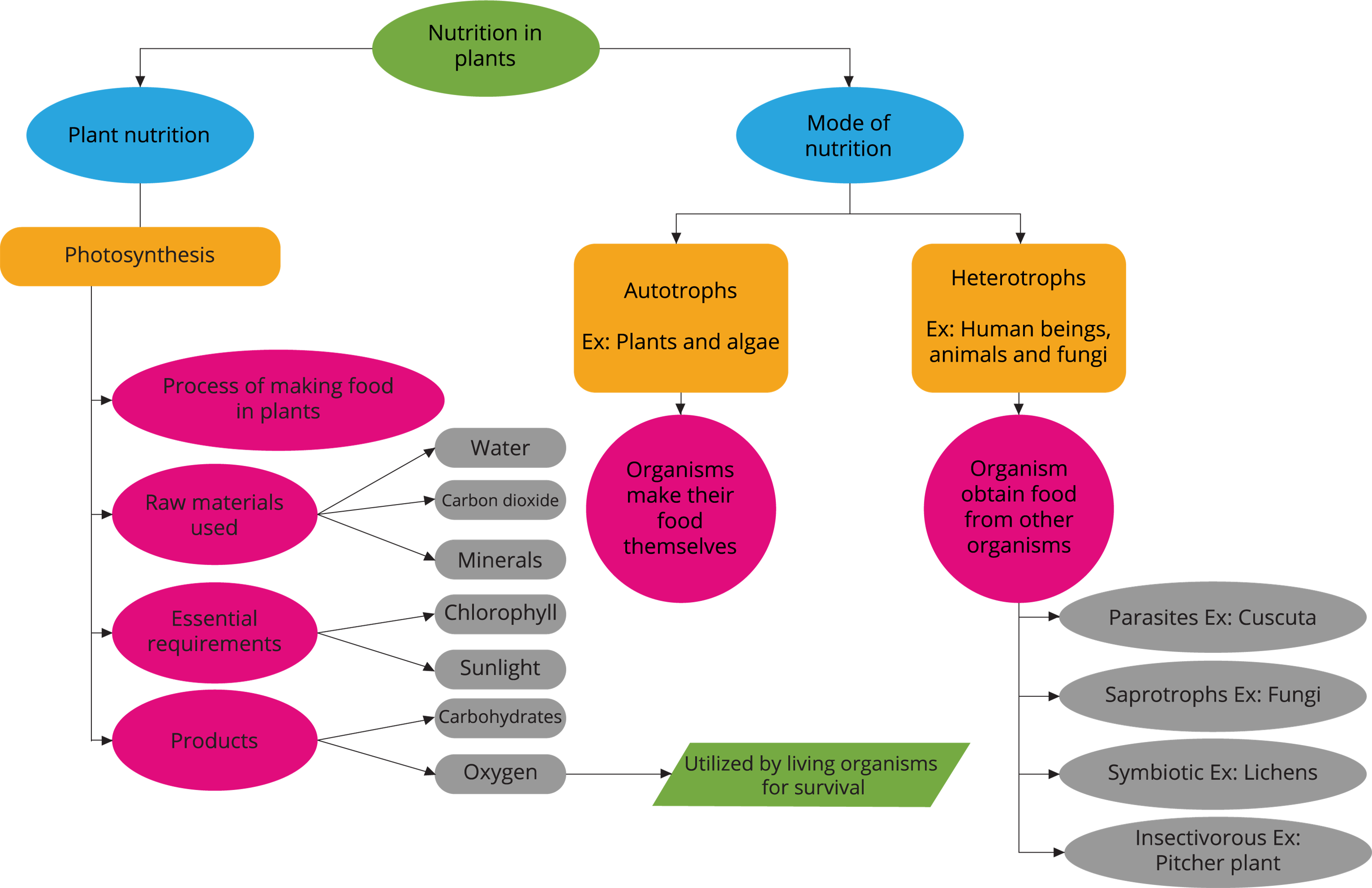 Mindmap Lesson Science CBSE Class 7 