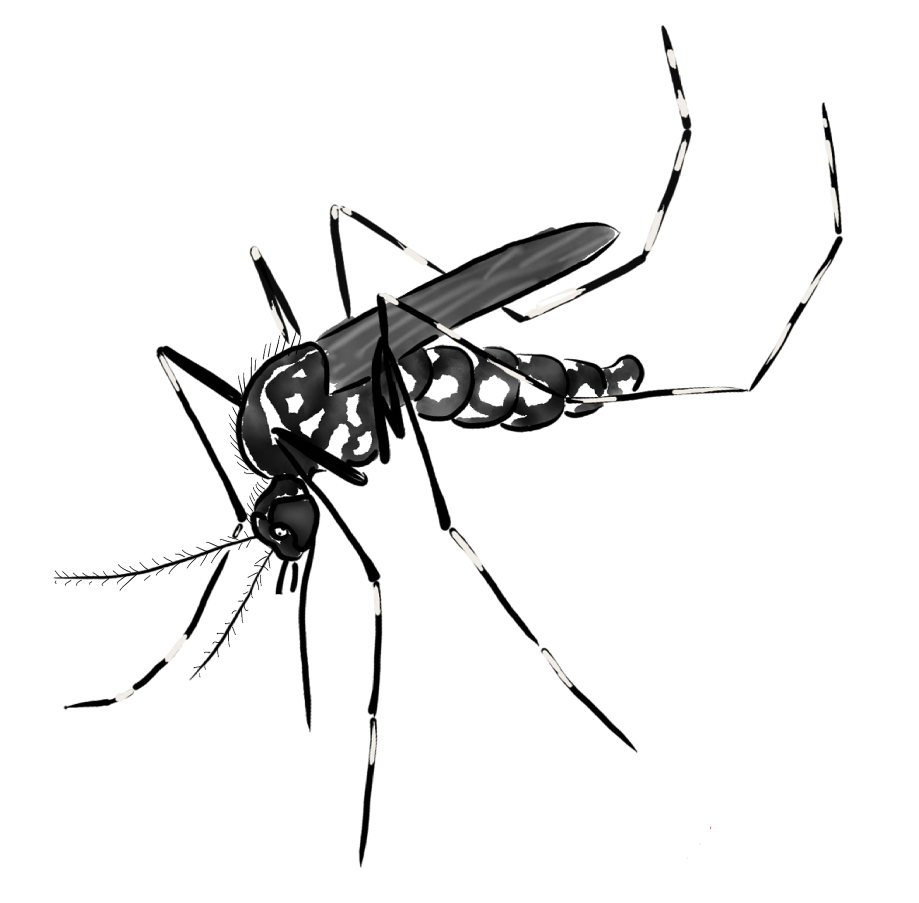 numericals-based-on-time-period-and-frequency-task-science-cbse