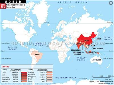 rice growing areas map.jpg