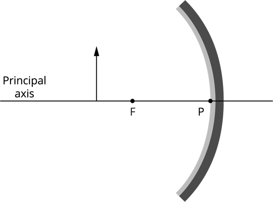 Numerical based on magnification — task. Science CBSE, Class 10.