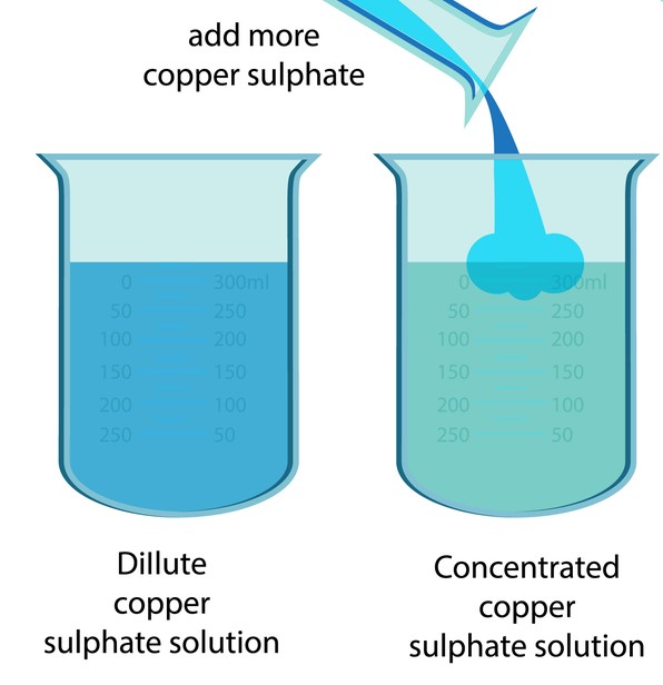 Types of solutions Concentrated and dilute solutions — lesson. Science