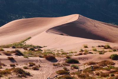 pink-sand-dunes-65310_1920.jpg