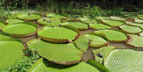 habitats-fresh-water-and-marine-lesson-science-state-board-class-6