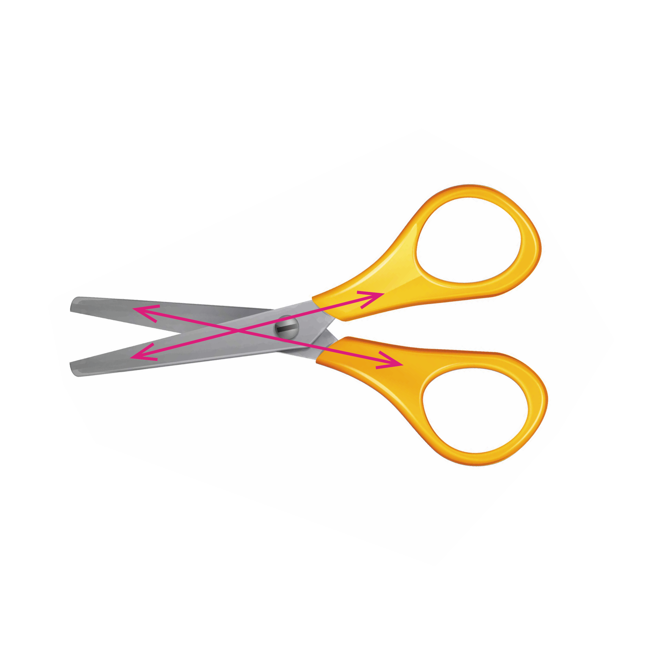 Intersecting lines and parallel lines — lesson. Mathematics CBSE, Class 6.
