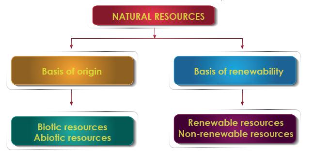 types of resources.jpg