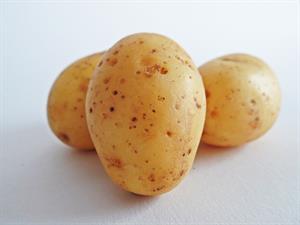 potatoes.jpg