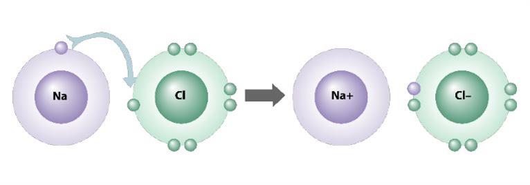 Classification of ions — lesson. Science State Board, Class 8.