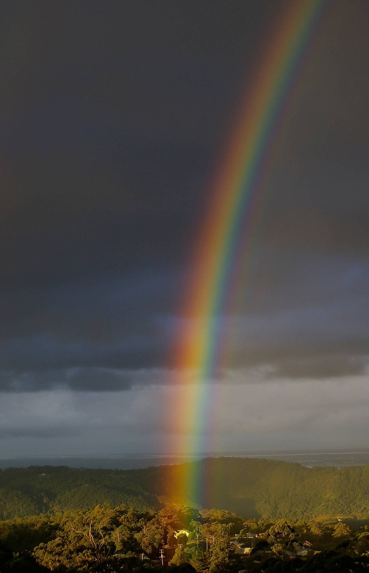 Dispersion of light - Rainbow — lesson. Science CBSE, Class 10.