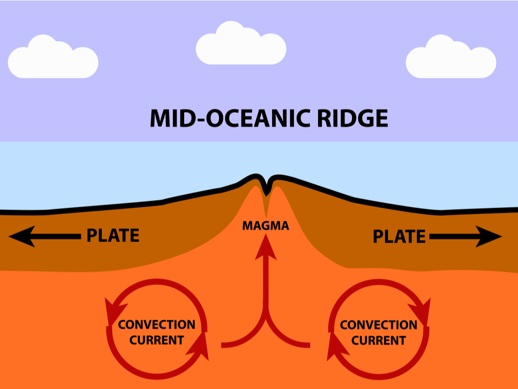 Oceanic deeps and Oceanic ridges — lesson. Social Science, Class 9.