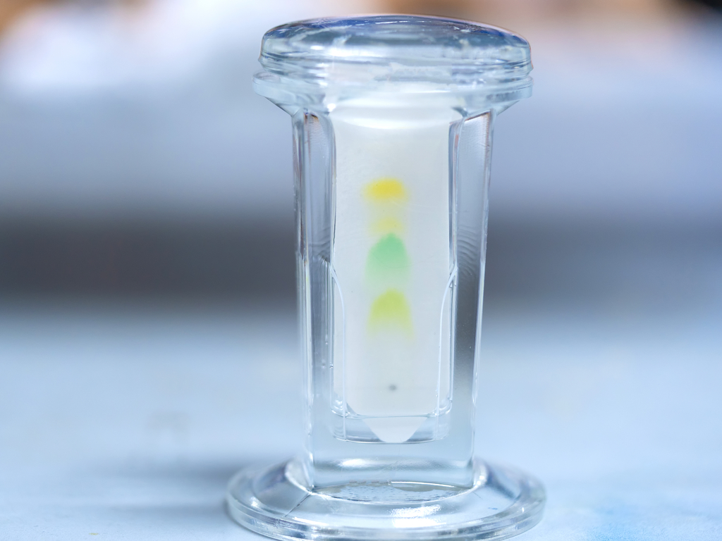 Chromatography — lesson. Science CBSE, Class 9.