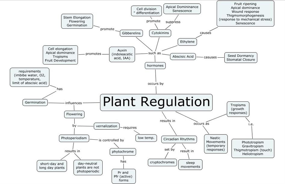 mind-map-lesson-science-state-board-class-10