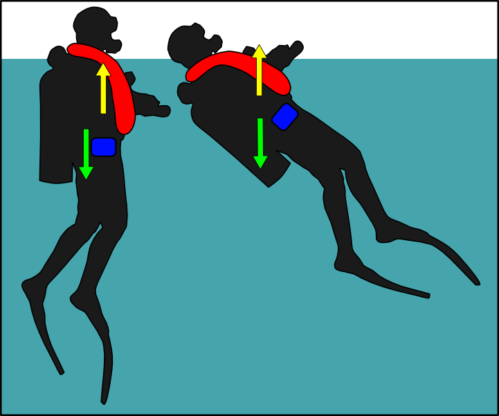 Laws of flotation — lesson. Science State Board, Class 9.