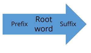 root words.jpg