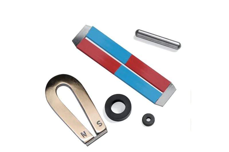 — lesson. Science CBSE, Class 6.