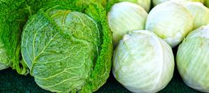 cabbage-4546444_1280.jpg