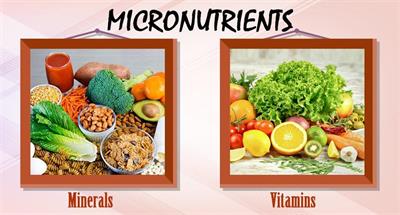 micronutrients1024x1024w1024jpg.jpg