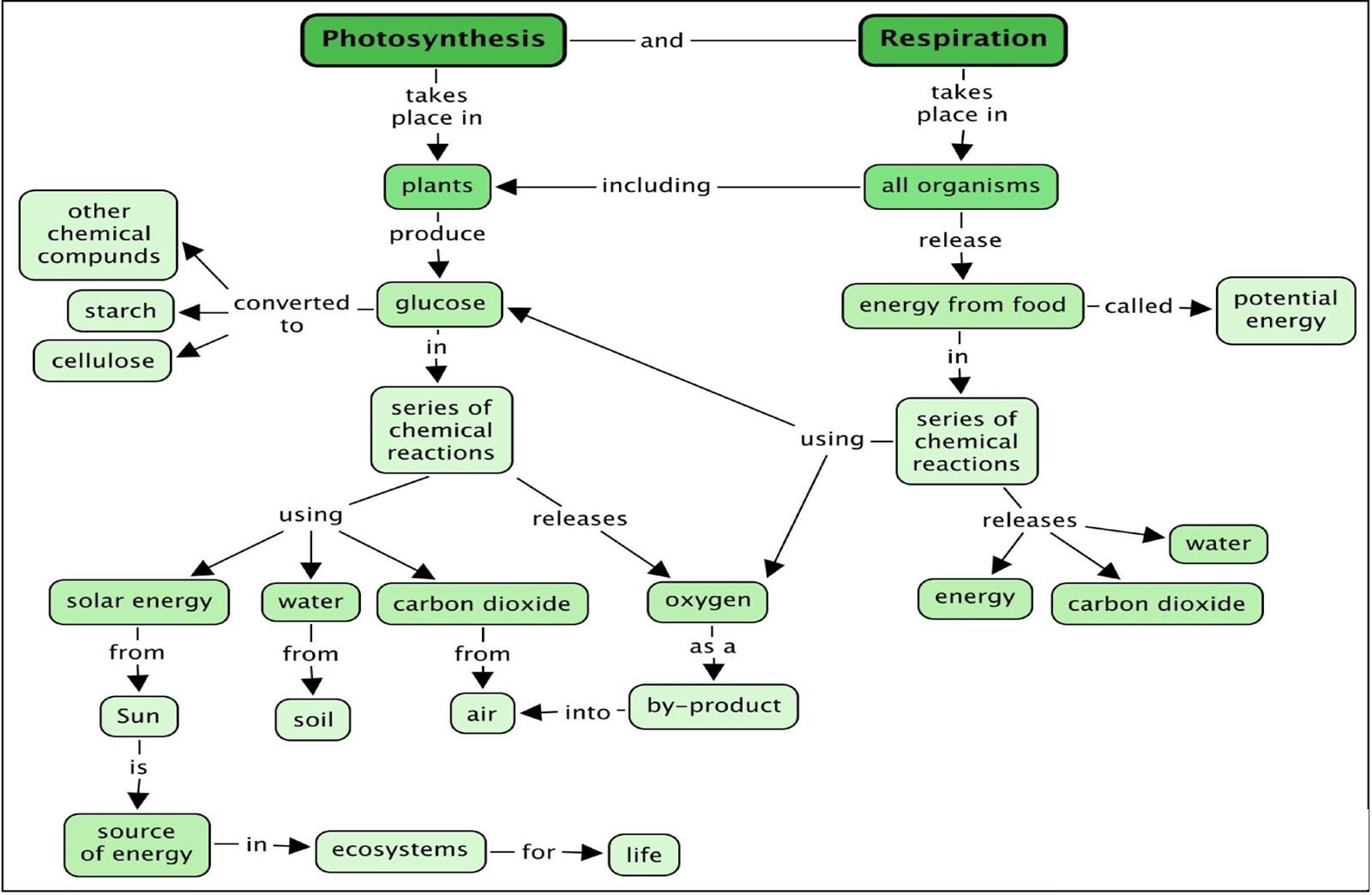 mind-map-lesson-science-cbse-class-10