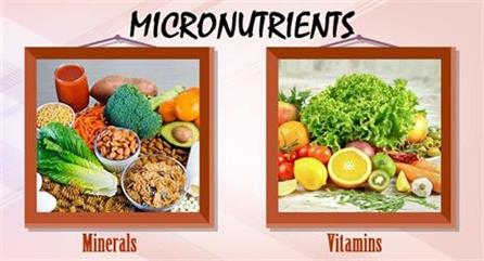 micronutrients1024x1024w1024jpgw465.jpg