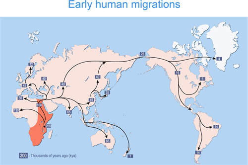 Early Human Migration - Ancient Migratory Route of Early Human.png