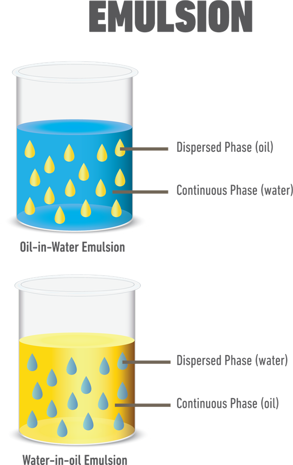 Emulsion and its types — lesson. Science State Board, Class 9.