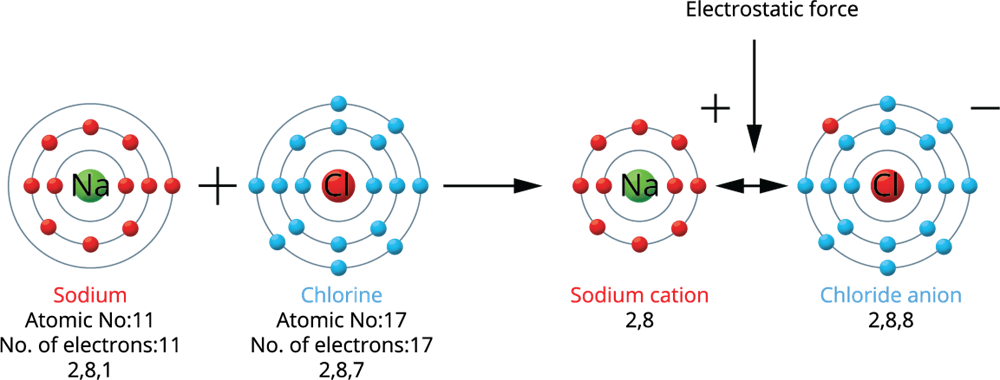 Formation Of Ionic Bonding In Nacl And Mgcl2 — Lesson. Science State 