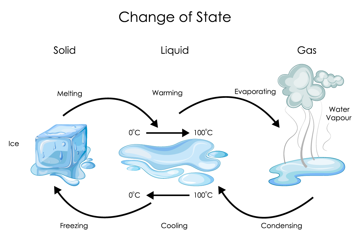 Evapotranspiration — lesson. Social Science, Class 8.