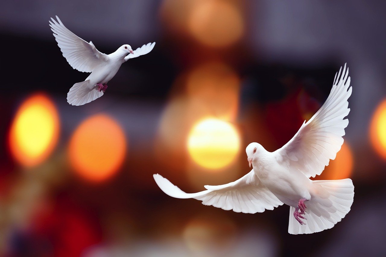 field of Earth — lesson. Science State Board, Class 8.