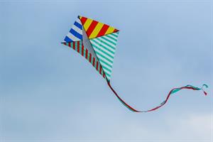 kite11595381280jpgjpg.jpg