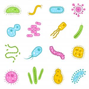bacteria-icons-set_98292-2344.jpg