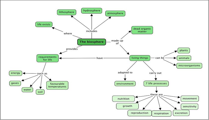 Mind Map Lesson Science Cbse Class