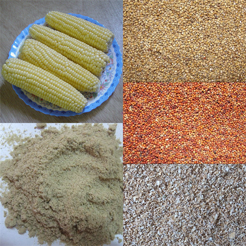 Animal Feed Pellet Machine for Oil-cake from Edible Oil Production