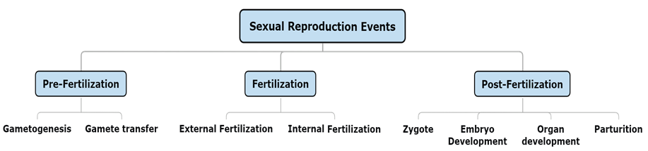 Sexual Reproduction Events Animals - copy.png